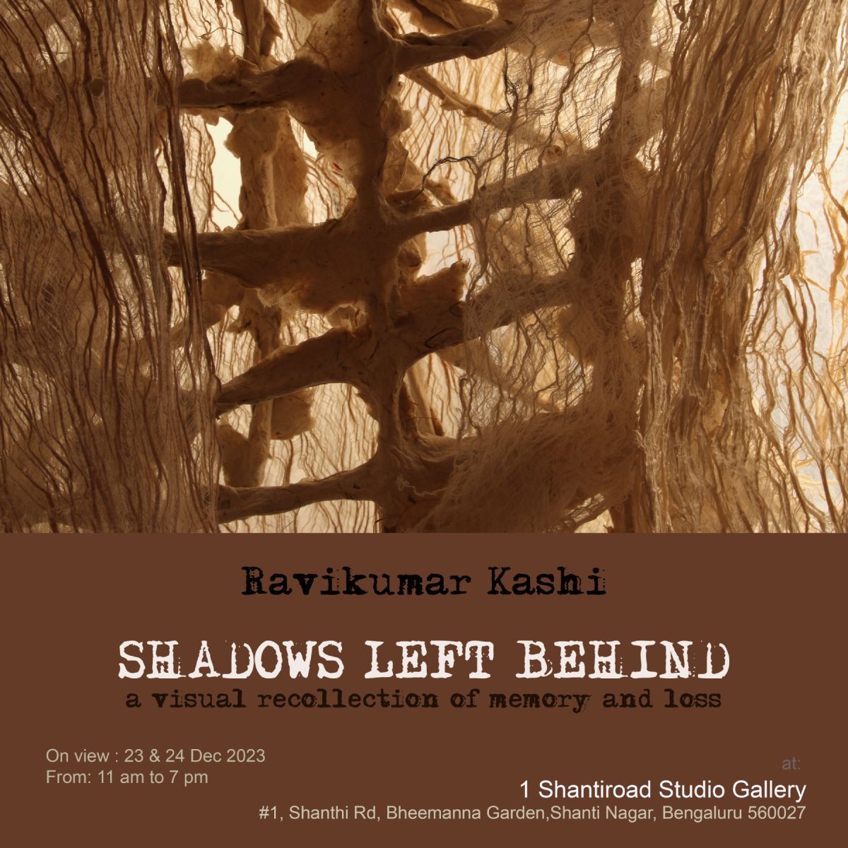 Shadows left behind — image 30