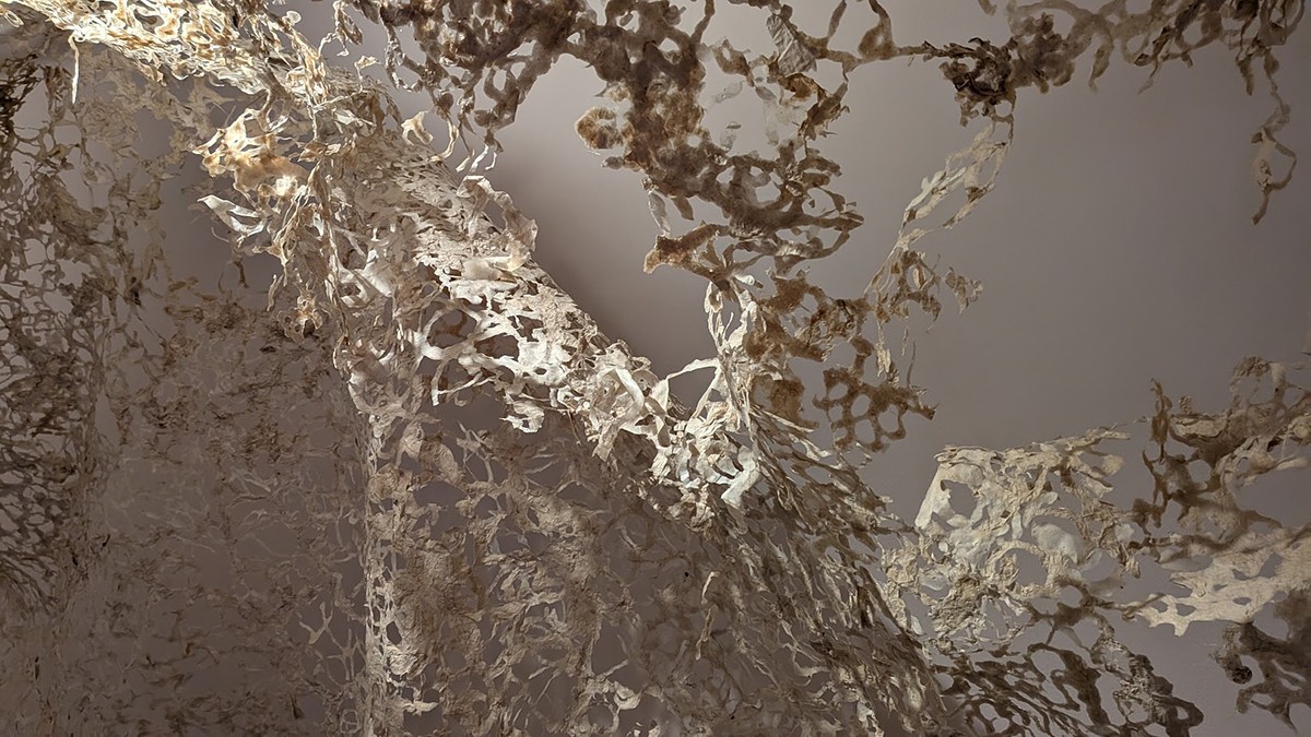 We don’t end at our edges — image 7