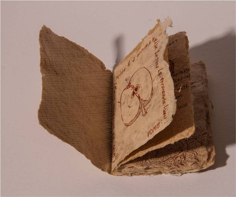 Book of Seeds — image 2