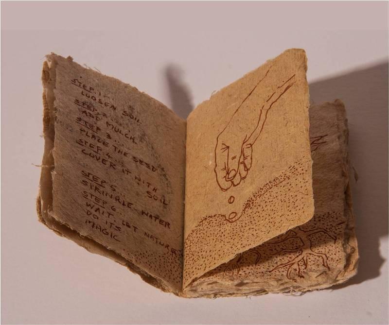 Book of Seeds — image 3