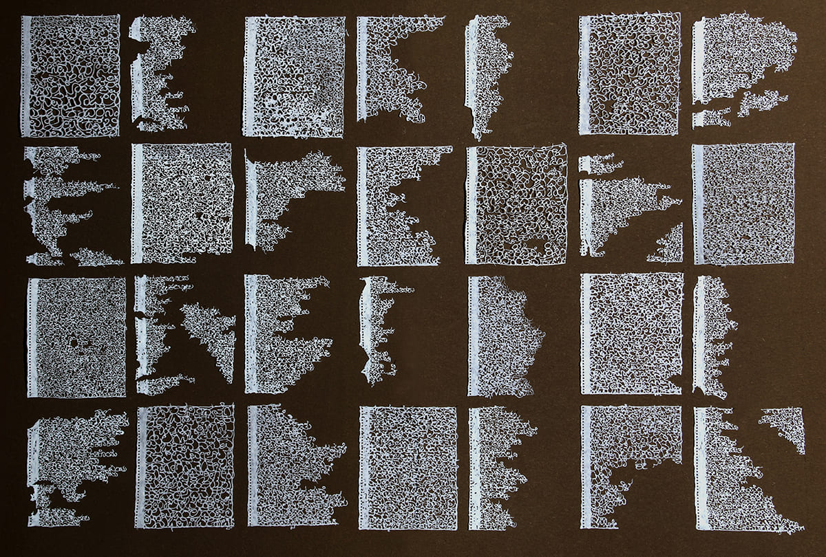 Echoes of Loss, 2024
