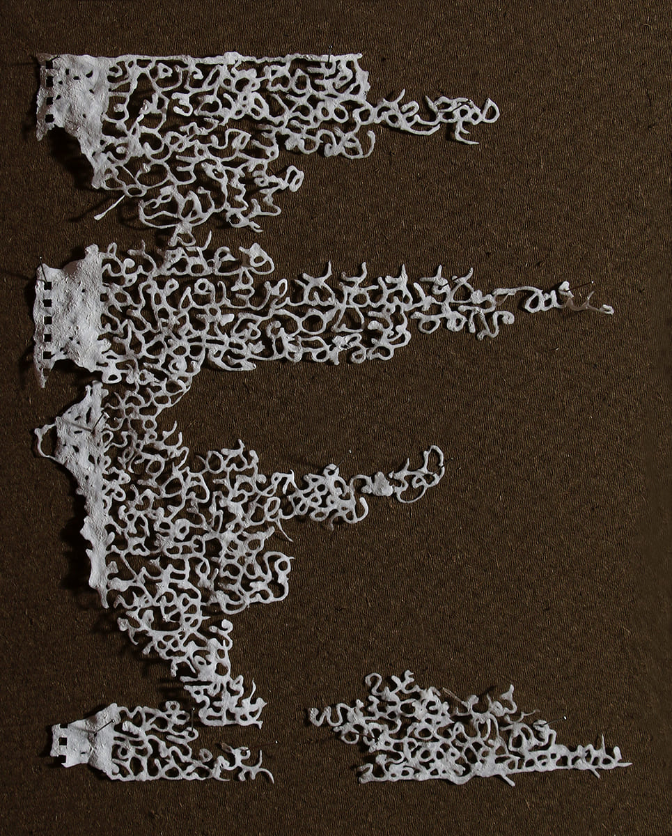 Echoes of Loss — image 4