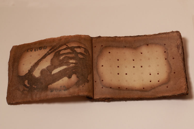 Book of Destiny, 2016