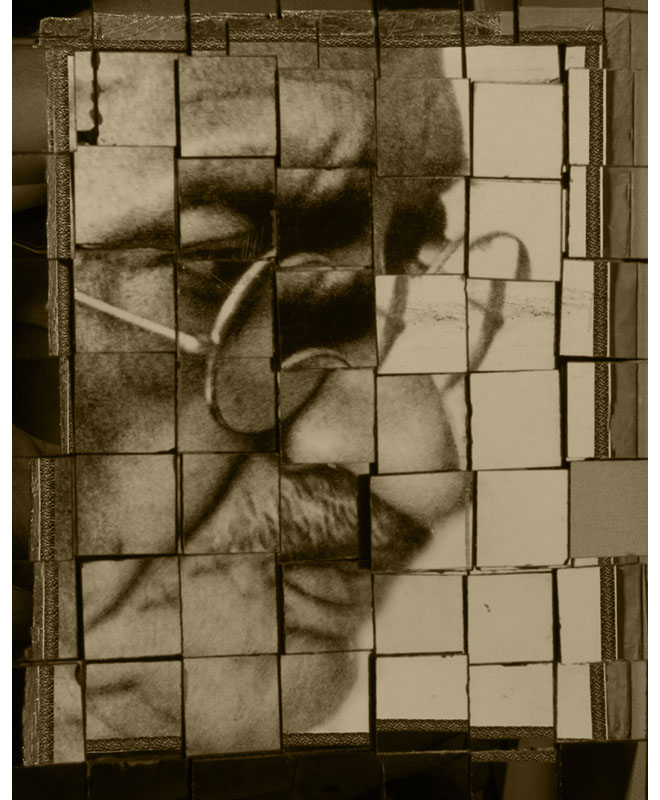 Reconstructing Bapu, 2011