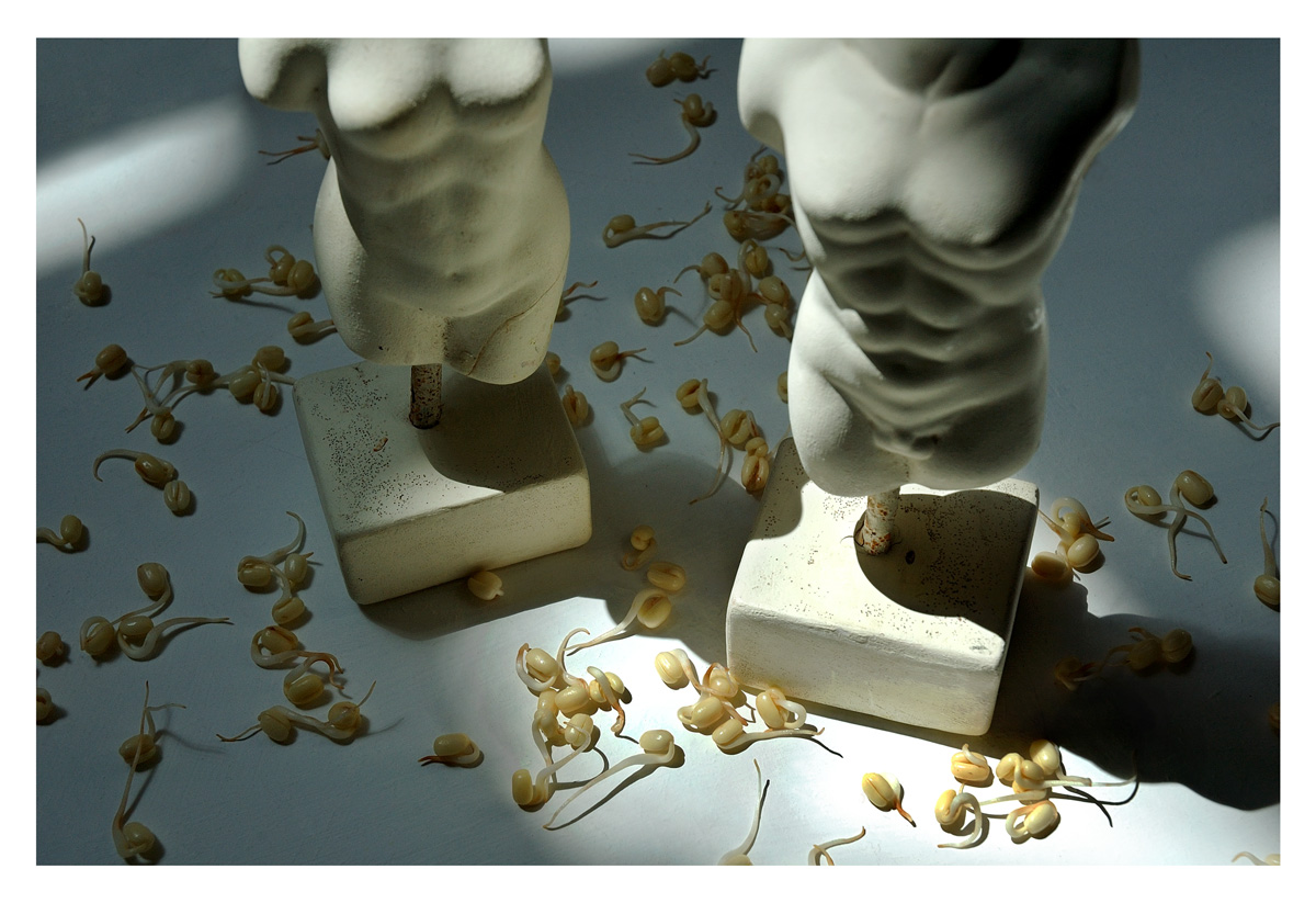 The Game - Solo Show — image 13